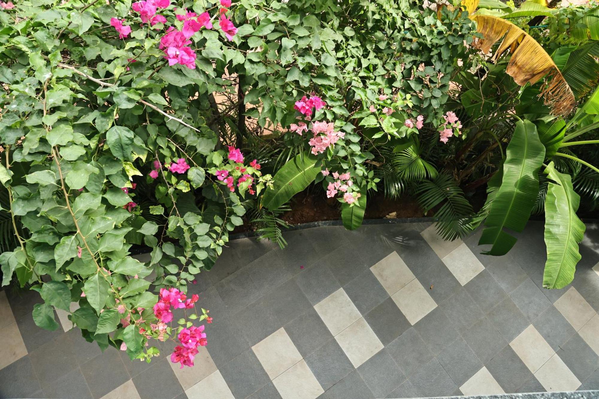 Fusion Home Anjuna Bagian luar foto